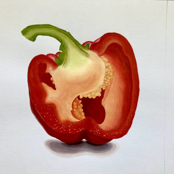 Vendula Vacková, Paprika, malba akrylem